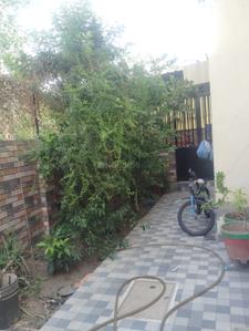 Image of 2430 Sq.ft 3 BHK Independent House for rent in SS Enterprises SS Sai Shraddha Residency, Motera, Ahmedabad for Rs. 30000