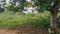 Karuppayurani Main Image 1