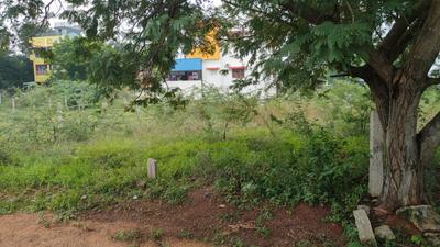 Image of 3855 Sq.ft Residential Plot / Land for sale in Karuppayurani, Madurai for Rs. 16200000