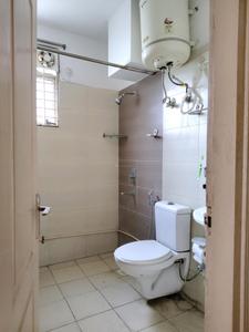 Common Bathroom Image of 1027 Sq.ft 2 BHK Apartment / Flat for sale in Stellar Jeevan, Noida Extension Greater Noida for Rs. 8649000