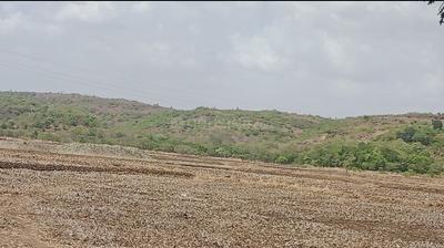 Palaspa Plot View 3