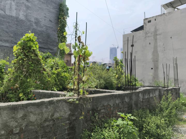 Kulesara Main Image 1