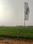 Sbp pine Green Plot View 2