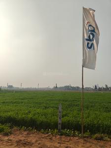 Image of 1350 Sq.ft Residential Plot / Land for sale in Banur, Mohali for Rs. 5295000