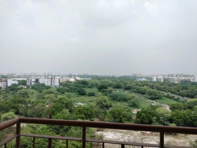 Kitchen Image of 550 Sq.ft 1 BHK Apartment / Flat for sale in Vikram Golf View Condos, Sector 19 Dwarka New Delhi for Rs. 8000000
