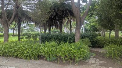 Image of 2100 Sq.ft Residential Plot / Land for sale in DLF Gardencity, Manglia, Indore for Rs. 10920000