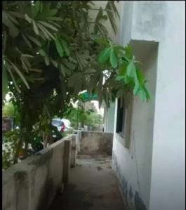 Image of 350 Sq.ft 1 BHK Builder Floor for rent in Bopal, Ahmedabad for Rs. 15000