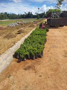 Image of 183 Sq.ft Residential Plot / Land for sale in Bhogapuram, Vizianagaram for Rs. 2933000