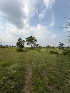 Image of 10760 Sq.ft Residential Plot / Land for sale in Sairung City, Nerhe, Pune for Rs. 19368000