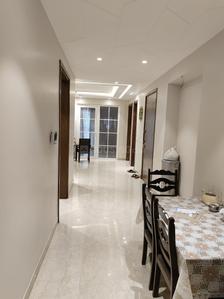 Hall Image of 1953 Sq.ft 3 BHK Builder Floor for rent in Greater Kailash I New Delhi for Rs. 185000