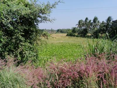 Image of 2500 Sq.ft Residential Plot / Land for sale in Brajalalchak, Haldia for Rs. 31000000