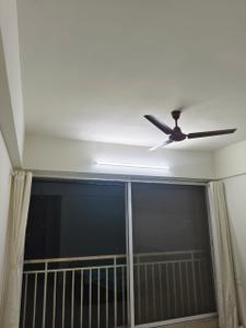 Hall Image of 985 Sq.ft 3 BHK Apartment / Flat for rent in Samraat Apna Ghar, Gangapur Nashik for Rs. 16000