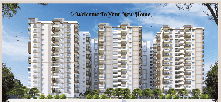 Riddhis Taranto Main Image 1