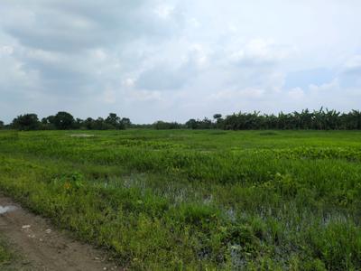 Image of 2880 Sq.ft Residential Plot / Land for sale in Joka, Kolkata for Rs. 600003