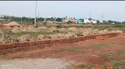 Patrapoda Plot View 2