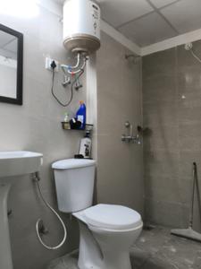 Common Bathroom Image of 1400 Sq.ft 3 BHK Apartment / Flat for rent in Amrapali Centurian Park, Techzone IV Greater Noida West, Greater Noida, Noida Extension Greater Noida for Rs. 25000
