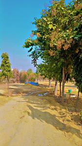 Image of 1800 Sq.ft Residential Plot / Land for sale in Sector 68, Gurgaon for Rs. 9000000