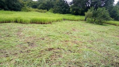 Image of 43560 Sq.ft Residential Plot / Land for sale in Sion, Mumbai for Rs. 22500000