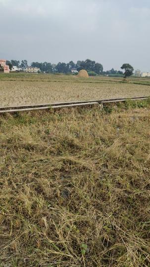 Kidhuwala chowk Main Image 1