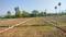 Bihta Plot View 2