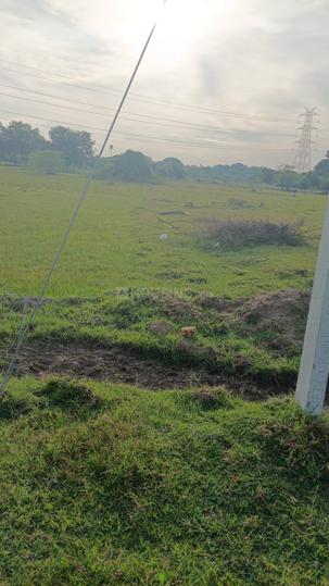 Rio bilder Main Image 1