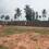 Pusapatirega Main Image 1