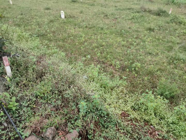 Trishul Housing Society, Saswad Main Image 1