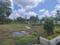 Padappai Main Image 1