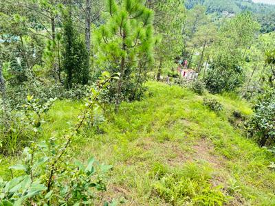 Image of 720 Sq.ft Residential Plot / Land for sale in Mukteshwar, Nainital for Rs. 7250000
