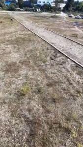 Image of 170 Sq.ft Residential Plot / Land for sale in Raiwala, Dehradun for Rs. 4420000