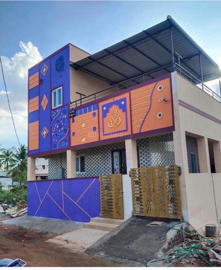 Pappampatti Main Image 1