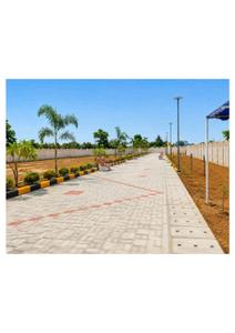 Residential Plot