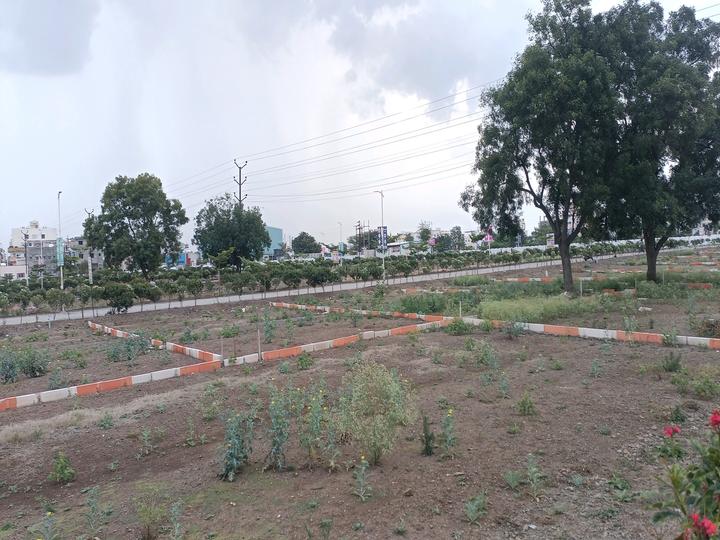 Lonikand Main Image 1