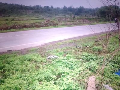 Sarde Plot View 2
