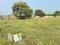 Prakruti Green Fields Plot View 2