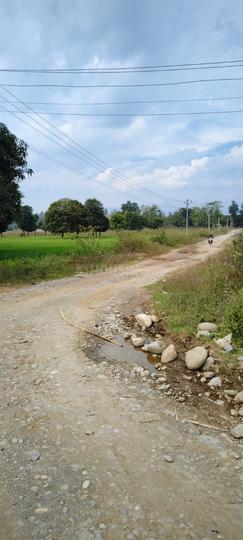 Suman Nagar, Aamwala Main Image 1