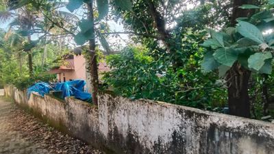 Image of 4356 Sq.ft Residential Plot / Land for sale in Thiruvaniyoor, Kochi for Rs. 8000000
