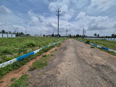 Residential Plot