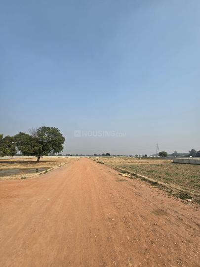 Govardhan Main Image 1