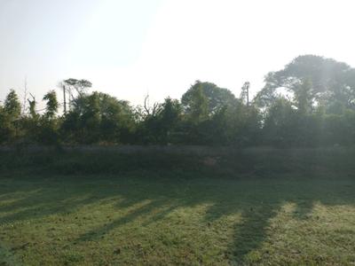 Image of 157 Sq.ft Residential Plot / Land for sale in Omaxe City, Tajupur, Faridabad for Rs. 22000000