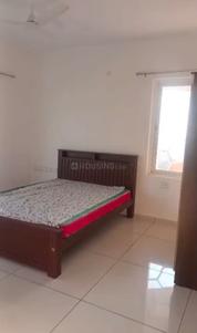 Bedroom Image of 1850 Sq.ft 3 BHK Apartment / Flat for rent in Pumpwell Mangalore for Rs. 40000