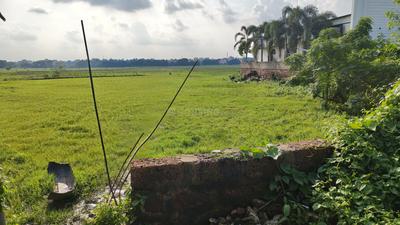 Image of 1200 Sq.ft Residential Plot / Land for sale in Pandav Nagar, Bhubaneswar for Rs. 4200000