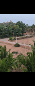 Image of 800 Sq.ft 1 BHK Farm House for sale in Binnipete, Bengaluru for Rs. 16200000