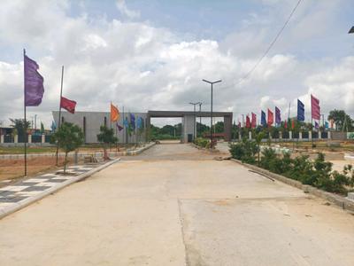 Century Nature City Internal Roads 2