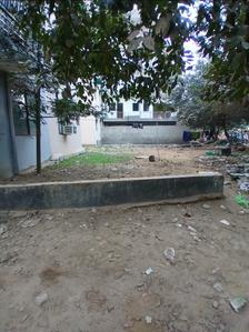 Block C Plot View 2