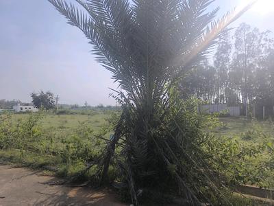 Image of 900 Sq.ft Residential Plot / Land for sale in Hoskote, Bengaluru for Rs. 2520000