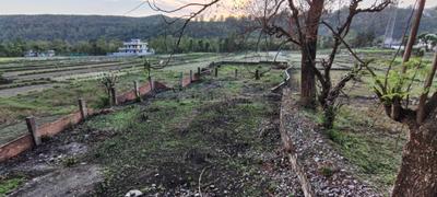 Maldevta Plot View 2
