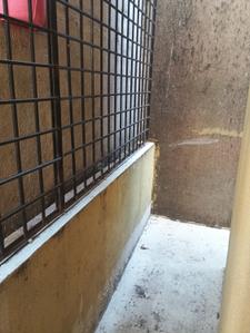 Balcony Image of 1000 Sq.ft 2 BHK Builder Floor for rent in Koramangala Bengaluru for Rs. 35000