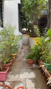 Balcony Image of 735 Sq.ft 2 BHK Apartment / Flat for sale in Guruwar Peth Satara for Rs. 4600000
