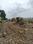 Sayam enclave  Plot View 2
